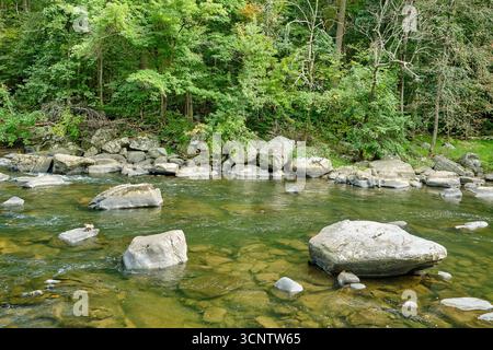 Brandywine Creek scorre oltre lo storico museo Hagley di Wilmington, Delaware, con vedute panoramiche dell'acqua nel primo patrimonio industriale americano. Foto Stock