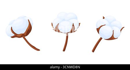 Set di tre fiori di cotone con fibre bianche morbide, isolati su sfondo bianco. Perfetto per design invernali e festivi, biglietti di auguri, feste di Natale Illustrazione Vettoriale