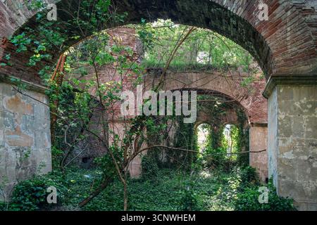Interno ricoperto di un edificio abbandonato in mattoni con archi a volta e lussureggiante vegetazione. Casa in rovina infestata dai fantasmi coperta di piante verdi. Post apocalittico Foto Stock