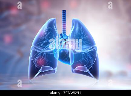 Anatomia polmonare umana su sfondo scientifico. illustrazione 3d. Foto Stock