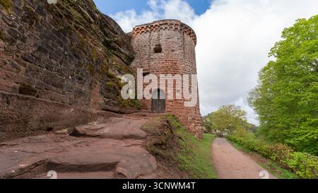 La natura della foresta palatina - Pfaelzer Wald in Germania Foto Stock