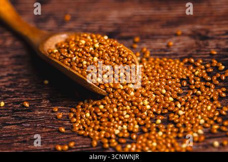 Immagine ravvicinata di grani di miglio marroni interi che fuoriescono da un cucchiaio di legno. La consistenza naturale e le tonalità dorate esaltano la sua qualità grezza e organica su un Foto Stock