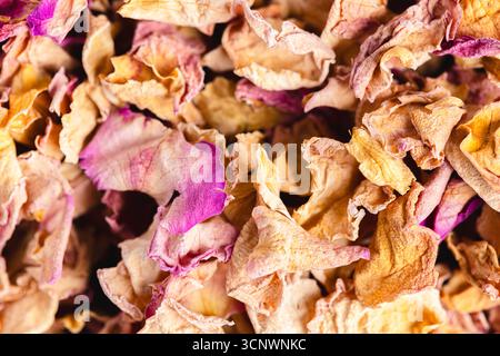 Una vista ravvicinata di petali di fiori commestibili essiccati assortiti, che mostrano una miscela di sfumature gialle e rosa. Perfetto per l'uso culinario, offre un Foto Stock
