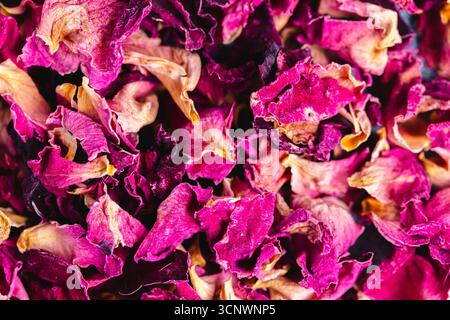 Una vivace collezione di petali di rosa essiccati in tonalità rosa, che mostrano la loro delicata texture. Perfetto per l'uso culinario, per lo styling degli alimenti o per dec Foto Stock