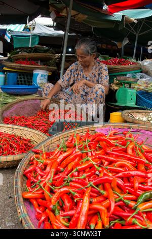 Venditore senior di peperoni rossi - Una donna vietnamita anziana che vende peperoni rossi grandi in un mercato di strada locale, seduto su uno sgabello e smistando h Foto Stock