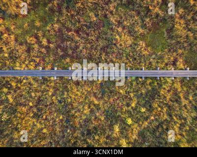 Vista aerea dall'alto verso il basso di un sentiero in legno lungo la passerella che attraversa un paesaggio paludoso o paludoso colorato e strutturato. Foto Stock