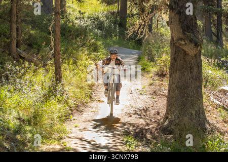 Un mountain bike esegue un impennata su uno stretto sentiero sterrato circondato da una lussureggiante foresta alpina. La luce del sole e l'azione catturano il brivido, balanc Foto Stock