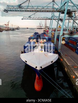 Veduta aerea di una nave cargo carica di container blu ormeggiata accanto a gru torreggianti, il suo scafo di colore bianco scuro contro l'acqua scura, Durban, Sud Africa. Foto Stock