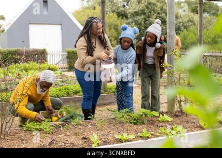Famiglia multigenerazionale diversificata che lavora su letti rialzati da giardino nel cortile con annaffiatoio rosa Foto Stock