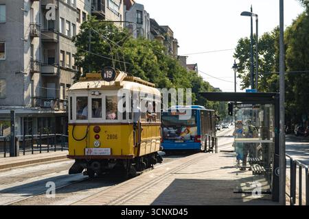 Un nostalgia tram sulla linea 19 a Budapest Foto Stock