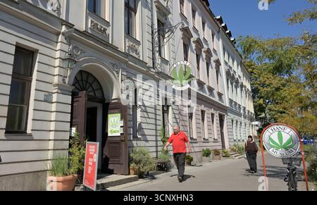 Hanf Museum, Mühlendamm, Mitte, Berlino, Deutschland *** Museo della canapa, Mühlendamm, Mitte, Berlino, Germania Foto Stock