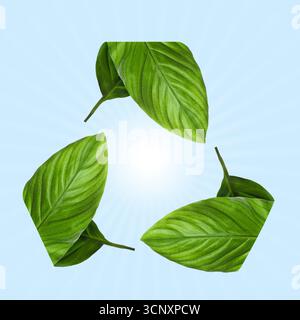 Simbolo di riciclaggio costituito da foglie verdi su sfondo azzurro Foto Stock