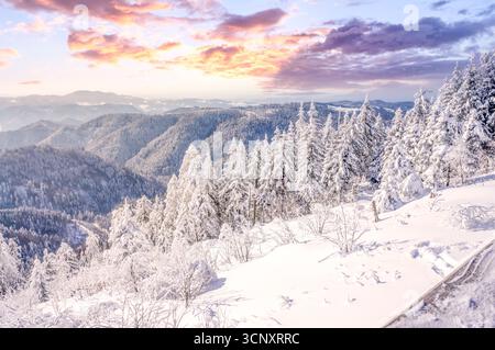 Schliffkopf, Schwarzwald, Baden Wuerttemberg, Germania Foto Stock
