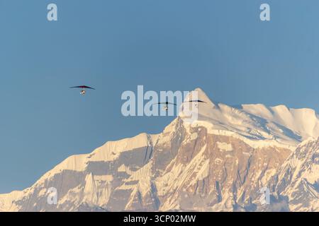 Hang Gliders che si innalzano sopra le cime dell'Himalaya innevate in Nepal Foto Stock