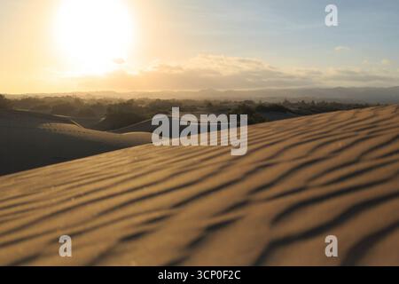 Il sole tramonta sulle dune, getta ombre e crea motivi sulla sabbia. Foto Stock