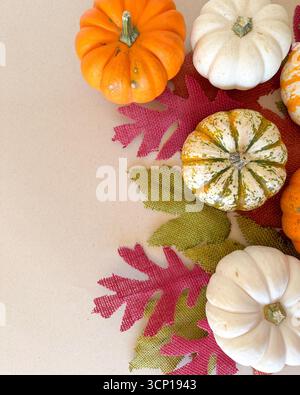 Una natura morta festosa con piccole zucche bianche, arancioni e a righe disposte su foglie di burlap testurizzate in rosso, arancione e verde. Foto Stock