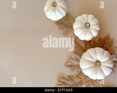 Natura morta minimalista con piccole zucche bianche disposte su rustiche foglie di burlap su un morbido sfondo beige. Foto Stock