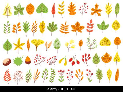 Collezione di foglie e bacche autunnali colorate in varie forme e colori, che creano una scena autunnale vivace e festosa, perfetta per i temi autunnali Illustrazione Vettoriale