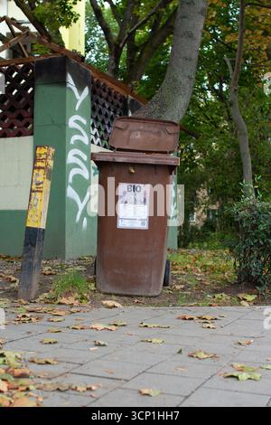 Il bidone marrone per rifiuti biologici si trova sul marciapiede circondato da foglie cadute in un parco urbano durante l'autunno Foto Stock