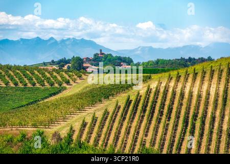 Vigneti e nocciole del Monferrato vicino a Penango con la chiesa di San Vittore sullo sfondo e le montagne delle Alpi. Paesaggio vinicolo terrazzato in Piemonte Foto Stock