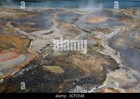 Sorgenti termali geotermali e sfiati a vapore a Orakei Korako, nota anche come la Valle nascosta, la zona vulcanica di Taupō, Isola del Nord, nuova Zelanda. Foto Stock