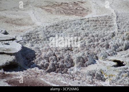 Sorgenti termali geotermali e sfiati a vapore a Orakei Korako, nota anche come la Valle nascosta, la zona vulcanica di Taupō, Isola del Nord, nuova Zelanda. Foto Stock