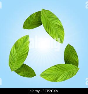Simbolo di riciclaggio costituito da foglie verdi su sfondo azzurro Foto Stock