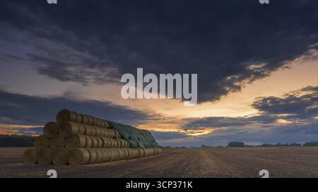 Fotografia di una grande pila di balle rotonde su un campo raccolto alla luce della sera, Husum, Nienburg, bassa Sassonia, Germania Foto Stock