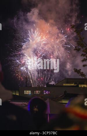 Gente che guarda i fuochi d'artificio nel cielo notturno, notte del fuoco, Sindelfingen, Germania Foto Stock