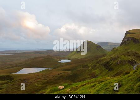 Vista delle spettacolari scogliere verdi e dei tranquilli laghi sotto un cielo nuvoloso, con una pecora solitaria che pascolava su un'erba vibrante, Quiraing, Scozia. Foto Stock