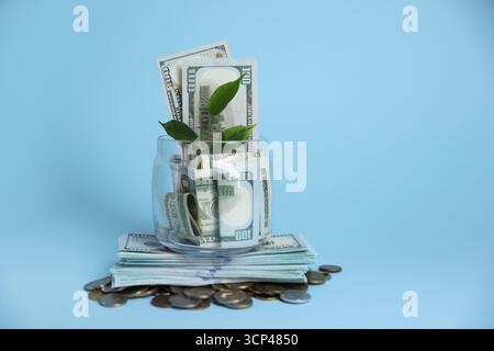 Vaso in vetro con germogli, dollari e monete su sfondo azzurro, spazio per testo Foto Stock