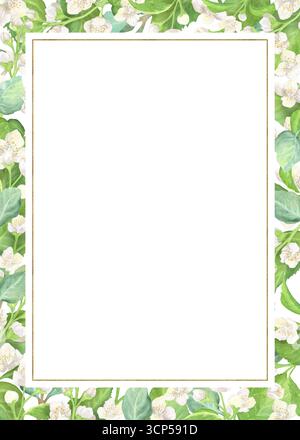 Cornice floreale rettangolare di eucalipto e zanzariere di gelsomino. Fiori bianchi e foglie verdi. Clipart del giardino. Illustrazione ad acquerello disegnata a mano per Foto Stock
