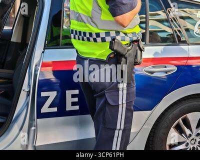 le forze di polizia austriache sono come qualsiasi altro simbolo e segno della polizia austriaca Foto Stock