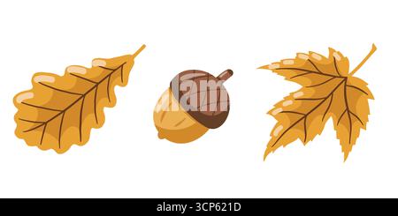 Illustrazione di quercia autunnale, foglie d'acero e ghianda su sfondo bianco. Illustrazione della collezione di vettoriali di fogliame d'oro autunnale per il confezionamento, il tessuto, il fab Illustrazione Vettoriale
