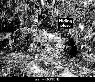 Perché i giapponesi sono difficili da trovare -- questa grotta, scavata sul lato di un terreno montuoso, fornì rifugio ai giapponesi dalle bombe e dai proiettili statunitensi quando le truppe del generale MacArthur sbarcarono a Biak Island al largo della costa della nuova Guinea olandese. I giapponesi avevano posto corallo intorno all'apertura della grotta, lasciando solo un piccolo ingresso. 30 giugno 1944. (Foto di USA Signal Corps). Foto Stock