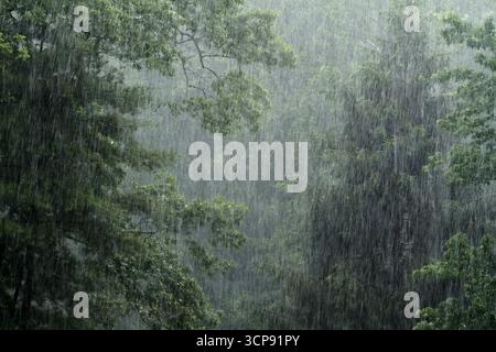 Pioggia intensa durante un giorno d'estate Foto Stock