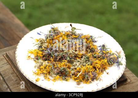 Miscela di piante medicinali raccolte essiccate su un piatto Foto Stock