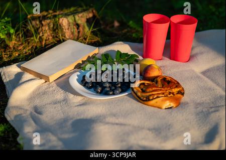 Piatto di mirtilli freschi, pesche mature, bicchieri, un libro e dolci preparati su una coperta beige, creando un'accogliente natura morta estiva all'aperto Foto Stock