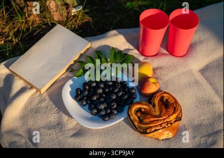 Piatto di mirtilli freschi, pesche mature, bicchieri, un libro e dolci preparati su una coperta beige, creando un'accogliente natura morta estiva all'aperto Foto Stock