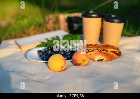 Piatto di mirtilli freschi, pesche mature, bicchieri, un libro e dolci preparati su una coperta beige, creando un'accogliente natura morta estiva all'aperto Foto Stock