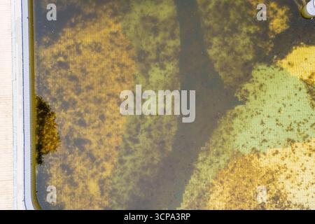 Colpo aereo di alghe in Stagnant Water il concetto di decadimento urbano Foto Stock