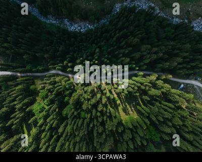 Veduta aerea di un sentiero tortuoso che attraversa una fitta foresta, con il baldacchino verde scuro che contrasta con il percorso luminoso, Sethan, Himachal Pradesh Foto Stock