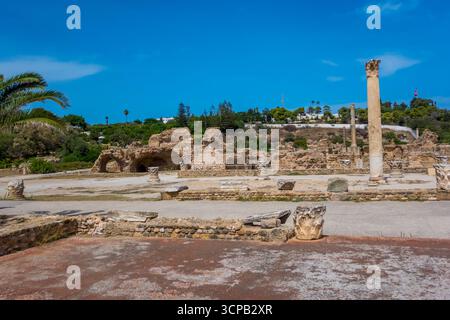 Lo splendido Antonino all'interno del complesso delle rovine di Cartagine in Tunisia Foto Stock
