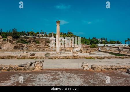 Lo splendido Antonino all'interno del complesso delle rovine di Cartagine in Tunisia Foto Stock