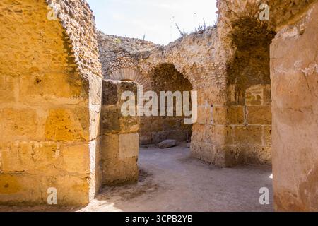 Lo splendido Antonino all'interno del complesso delle rovine di Cartagine in Tunisia Foto Stock
