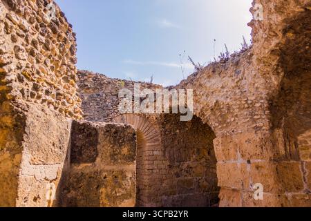 Lo splendido Antonino all'interno del complesso delle rovine di Cartagine in Tunisia Foto Stock
