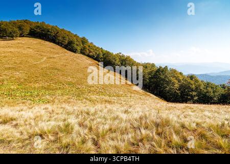 tranquilla giornata autunnale sulle montagne dei carpazi. alberi decidui sulle colline erbose della cresta di krasna. scenario soleggiato della transcarpathia nella stagione autunnale in blu Foto Stock