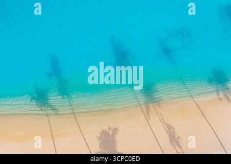 Rilassante Palm Leaves Shadows Soft Sand Gorgeous Blue Sea Calm Waves. Paesaggio aereo e natura tropicale Spiaggia sfondo popolare per le vacanze. Costa meravigliosa Foto Stock