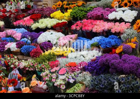 Fiorista acquista bouquet pronti a Dublino, Irlanda. Negozio di fiori a scelta con ortensie, rose e altri fiori. Foto Stock