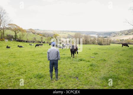Agricoltore maschio che indossa un berretto da baseball e stivali di gomma in piedi nel pascolo verde di fronte alla mandria di bovini Foto Stock